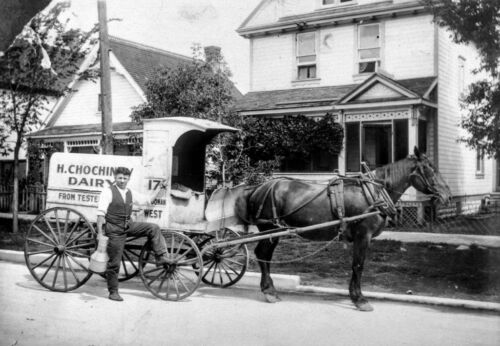 Chochinov dairy delivery horse and carriage, Winnipeg, c. 1935
