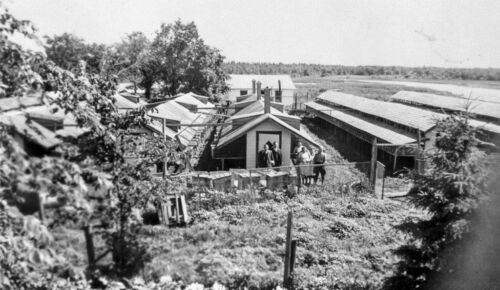 Flam Family Mink Ranch in Scanterbury on the Brokenhead Reserve